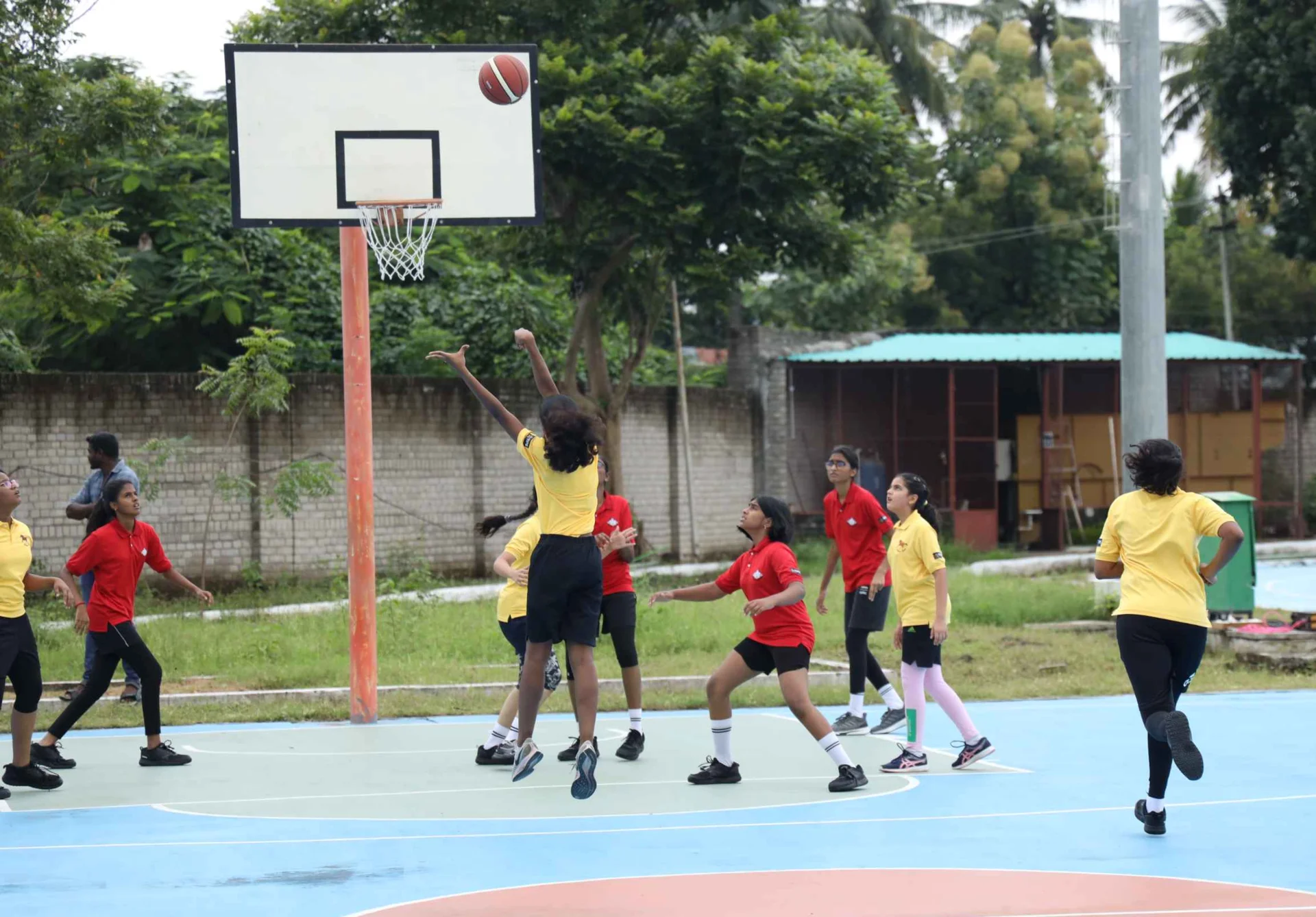 Physical Education