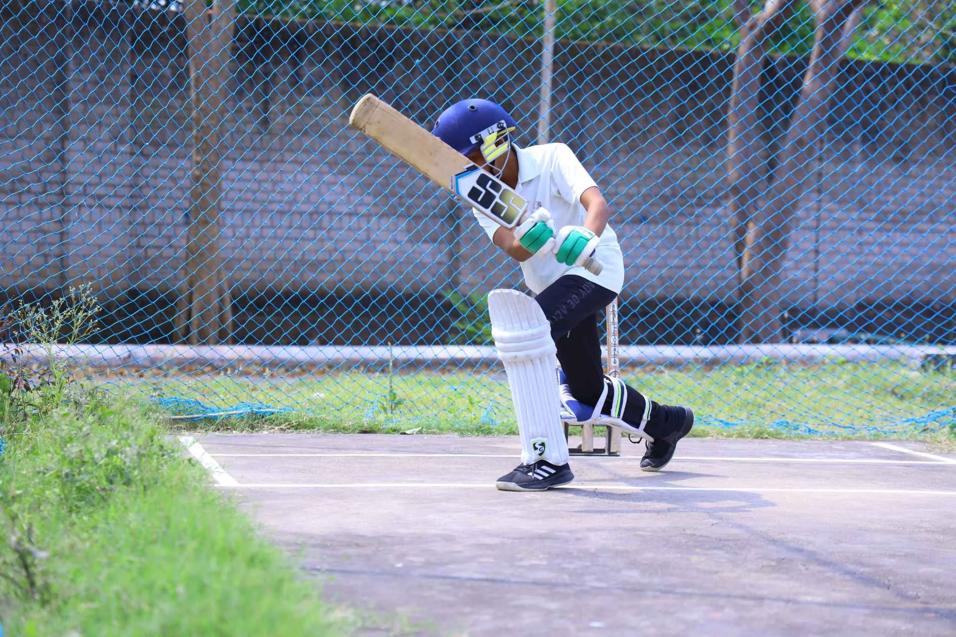 Cricket