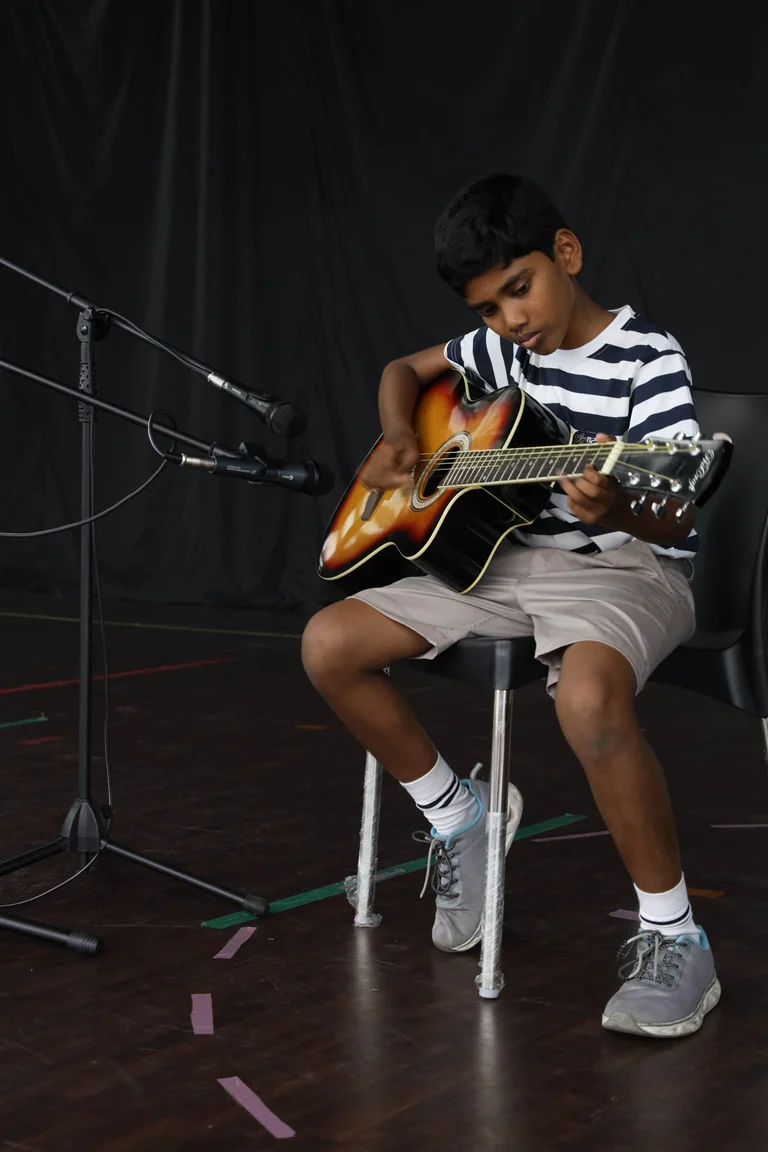 Guitar