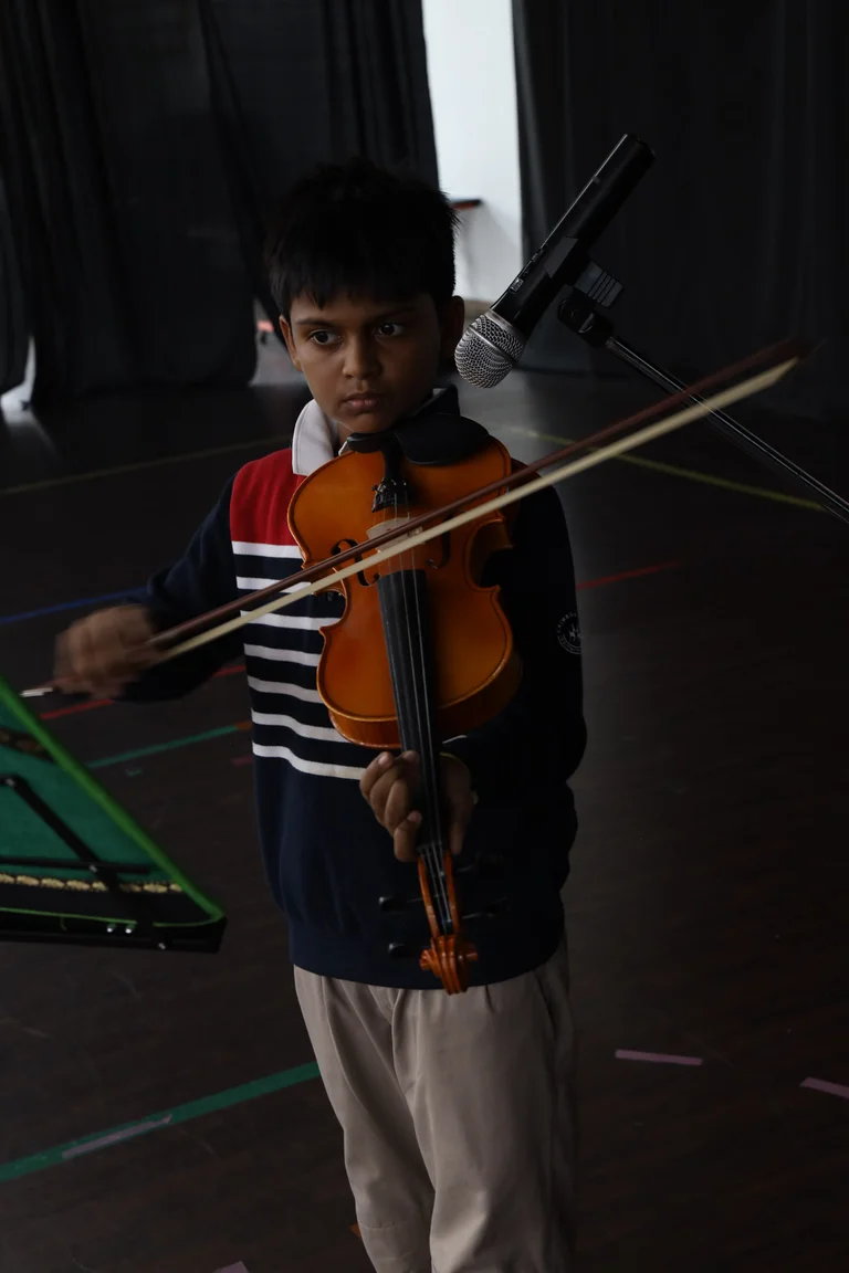 Violin